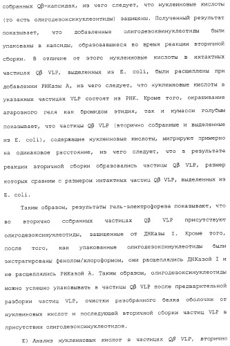 Композиции, содержащие cpg-олигонуклеотиды и вирусоподобные частицы, для применения в качестве адъювантов (патент 2322257)