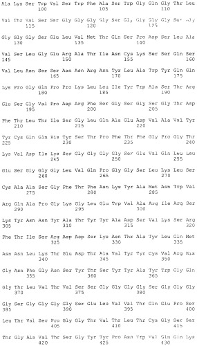 Pscaxcd3, cd19xcd3, c-metxcd3, эндосиалинxcd3, epcamxcd3, igf-1rxcd3 или fap-альфаxcd3 биспецифическое одноцепочечное антитело с межвидовой специфичностью (патент 2547600)