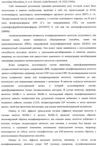 Агонистическое соединение, способное специфически узнавать и поперечно сшивать молекулу клеточной поверхности или внутриклеточную молекулу (патент 2430927)