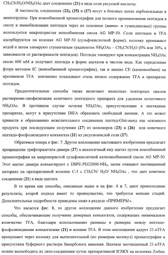 Конъюгаты фосфолипидов и направляющих векторных молекул (патент 2433137)