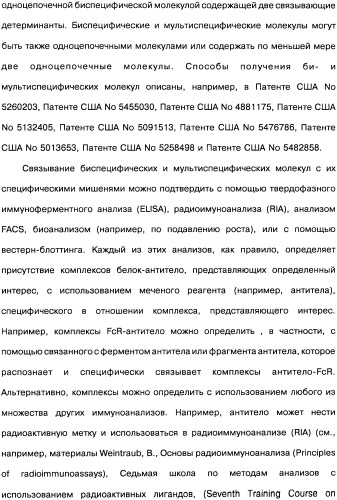 Человеческие моноклональные антитела к рецептору эпидермального фактора роста (egfr), способ их получения и их использование, гибридома, трансфектома, трансгенное животное, экспрессионный вектор (патент 2335507)