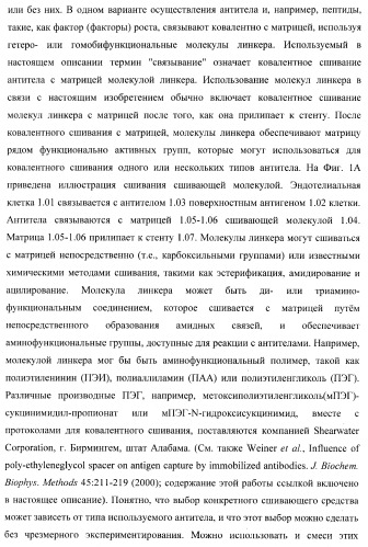 Захват эндотелиальных клеток-предшественников элюирующим лекарственные средства имплантируемым медицинским устройством (патент 2400256)