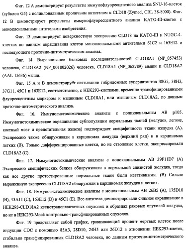 Моноклональные антитела к клаудину-18 для лечения рака (патент 2445319)