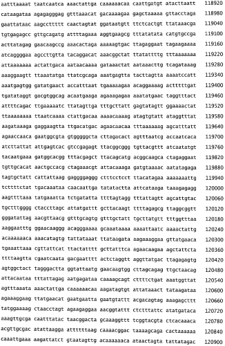 Бактериофаг, обладающий активностью против pseudomonas aeruginosa, белки бактериофага и способы их применения (патент 2580248)