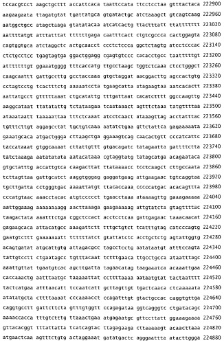 Применение s1p (патент 2362565)