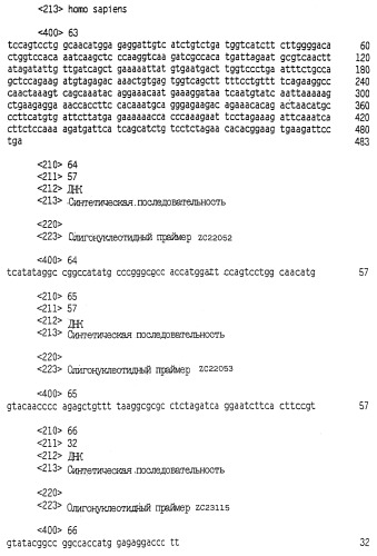 Новый цитокин zalpha11-лиганд (патент 2258710)