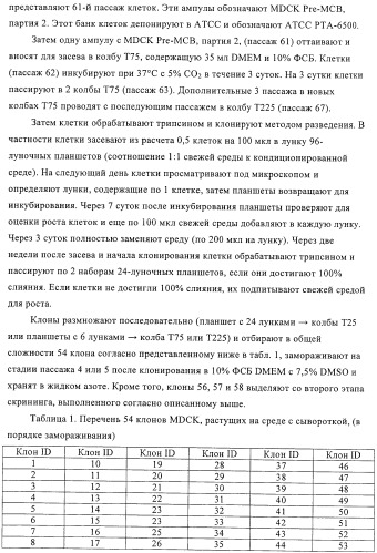 Линии клеток почки собаки майдин-дэрби (mdck), поддерживающие рост вирусов до высоких титров, и способ применения этих клеток в биореакторе (патент 2487935)
