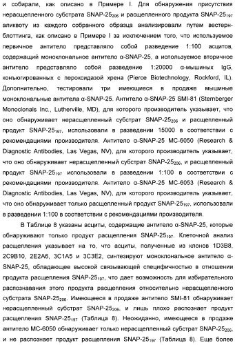 Иммунологические анализы активности ботулинического токсина серотипа а (патент 2491293)