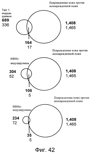 Фармакодинамические маркеры, индуцированные интерфероном альфа (патент 2527068)