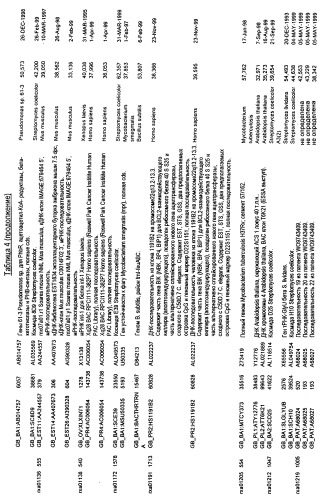 Гены corynebacterium glutamicum, кодирующие белки, участвующие в синтезе мембран и мембранном транспорте (патент 2312145)