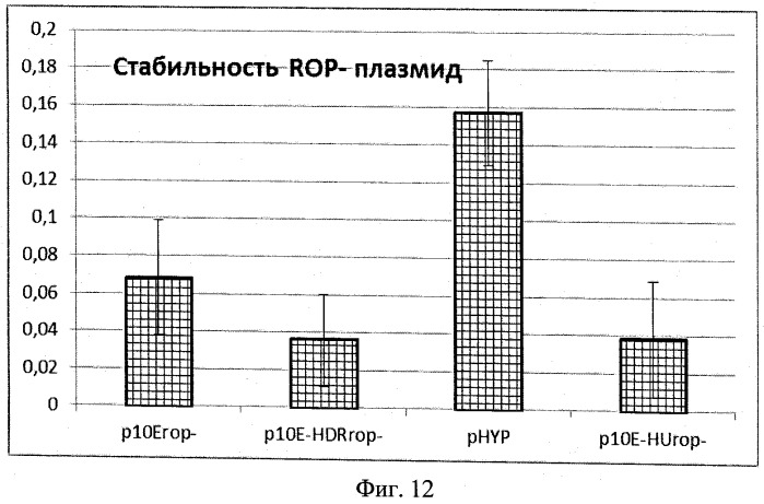 Плазмидный вектор phyp с повышенной сегрегационной стабильностью для экспрессии рекомбинантного белка, бактерия - продуцент предшественника рекомбинантного белка и способ получения рекомбинантного белка (патент 2496877)