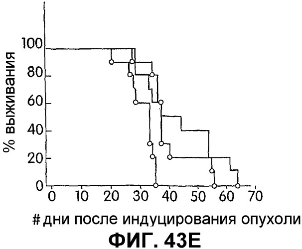 Иммуностимулирующие фосфортиоатные cpg-олигонуклеотиды, содержащие фосфодиэфирные связи, способ иммуномодуляции, способ стимулирования иммунного ответа (патент 2338750)