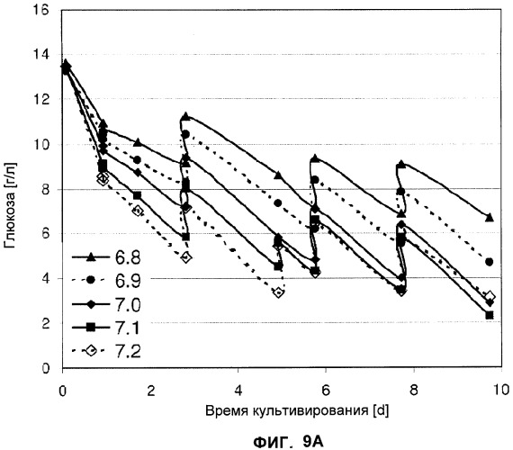 Применение низкой температуры и/или низкого pн в культуре клеток (патент 2478702)