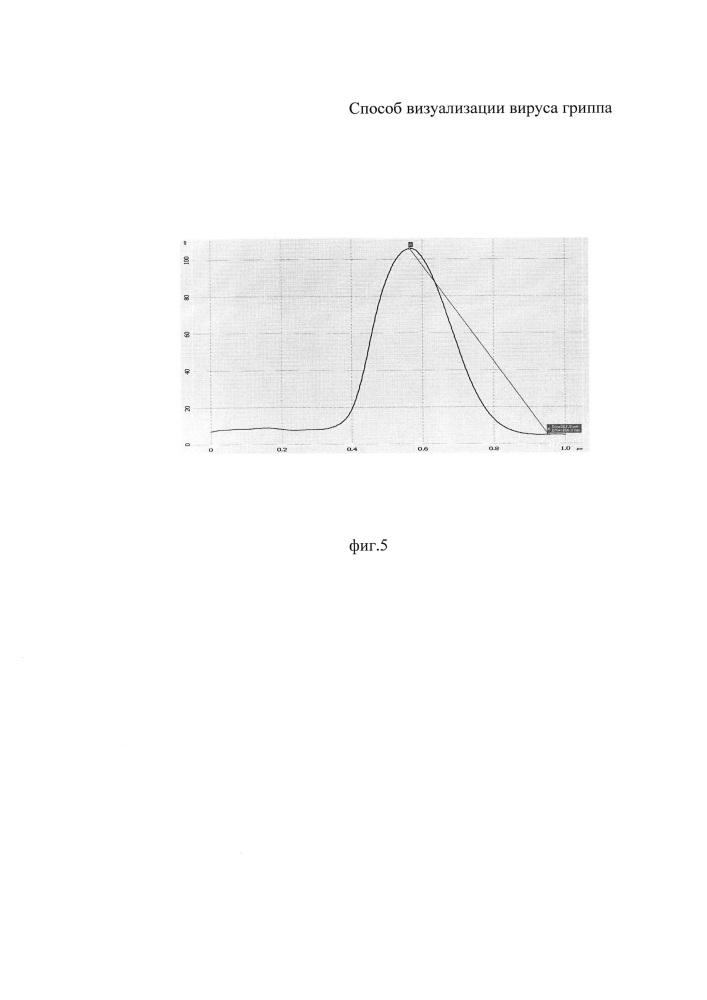 Способ визуализации вируса гриппа (патент 2649763)