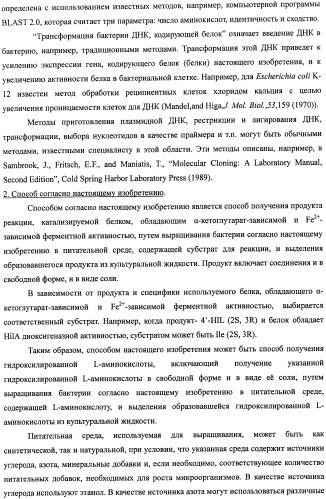 Способ получения гидроксилированной аминокислоты (варианты) и микроорганизм, трансформированный днк, кодирующей диоксигеназу (патент 2460779)