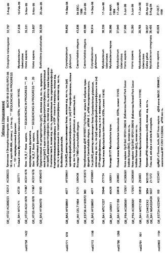 Гены corynebacterium glutamicum, кодирующие белки метаболических путей (патент 2306339)