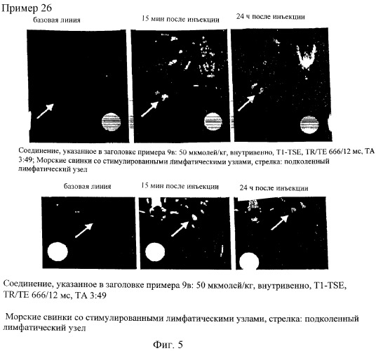 Перфторалкилсодержащие коплексы с полярными остатками, способ их получения, фармацевтическое средство (патент 2289579)