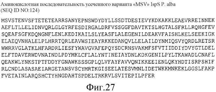Варианты изопренсинтазы, применяемые для улучшения продуцирования изопрена микроорганизмами (патент 2516343)