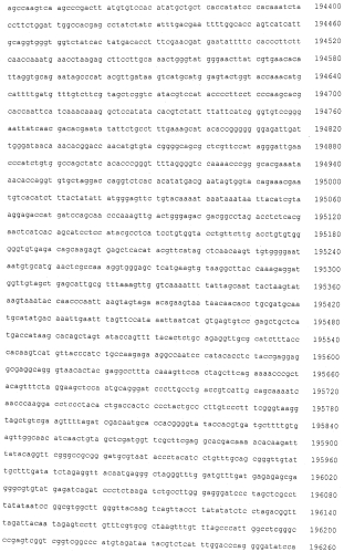 Генетические локусы, связанные с устойчивостью к пыльной головне у маиса (патент 2562864)