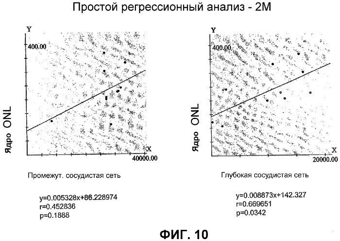 Гематопоэтические стволовые клетки и способы лечения неоваскулярных заболеваний глаз с их помощью (патент 2345780)