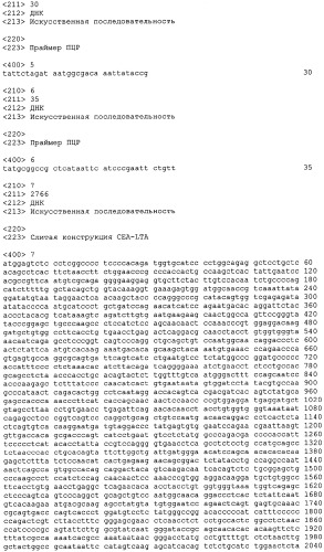 Слитые белки карциноэмбрионального антигена (патент 2380375)