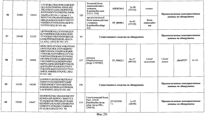Бактериофаг, обладающий активностью против pseudomonas aeruginosa, белки бактериофага и способы их применения (патент 2580248)