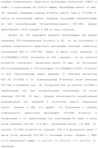 Включение адъюванта в иммунонанотерапевтические средства (патент 2496517)