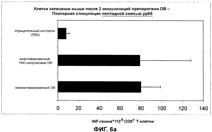 Композиция, содержащая частицы hcmv (патент 2505314)