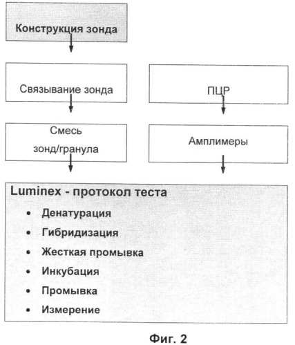 Зонд и набор (варианты) для детекции целевой нуклеиновой кислоты, спейсер, подходящий для присоединения к специфической к мишени последовательности зонда и способ детекции любого взаимодействия между зондом и целевой нуклеиновой кислотой (патент 2461626)