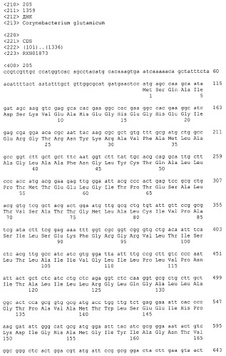 Гены corynebacterium glutamicum, кодирующие белки резистентности и толерантности к стрессам (патент 2303635)