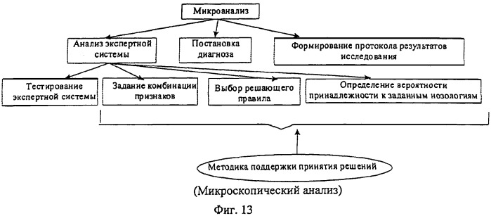 Способ микроскопического исследования образца (патент 2318201)