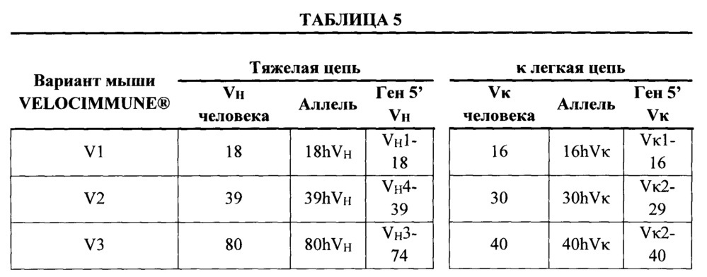 Мыши с гуманизированной легкой цепью (патент 2664181)