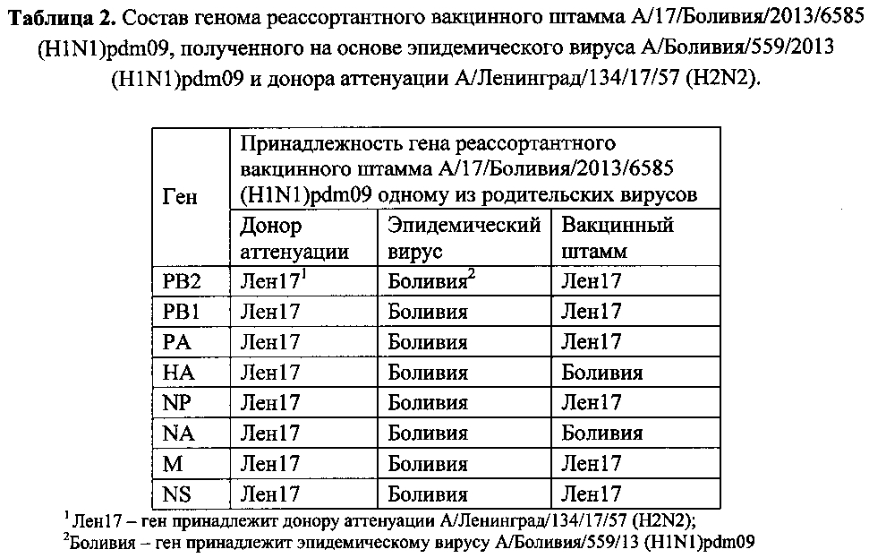 Вакцинный штамм вируса гриппа а/17/боливия/2013/6585 (h1n1) pdm09 для производства живой гриппозной интраназальной вакцины для взрослых и для детей (патент 2605314)