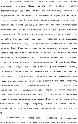 Поликлональное антитело против nogo, фармацевтическая композиция и применение антитела для изготовления лекарственного средства (патент 2432364)