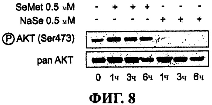 Лечение нейродегенеративных заболеваний (патент 2489155)