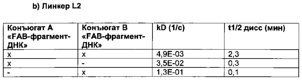 Способ отбора и получения селективных и мультиспецифических терапевтических молекул с заданными свойствами, включающих по меньшей мере две различные нацеливающие группировки, и их применения (патент 2644263)