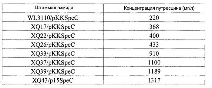 Микроорганизм, обладающий способностью к продукции путресцина в высокой концентрации, способ получения этого микроорганизма и способ продукции путресцина с использованием этого микроорганизма (патент 2433180)