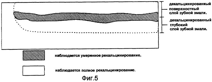 Ускоритель рекальцинирования зубной эмали, композиция для ухода за полостью рта и содержащие его пищевой продукт или напиток (патент 2396969)