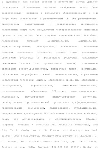 Слитые белки альбумина (патент 2369404)
