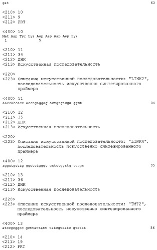 Способ и набор для выявления гена, кодирующего мембраносвязанный белок, вектор (варианты) (патент 2246538)