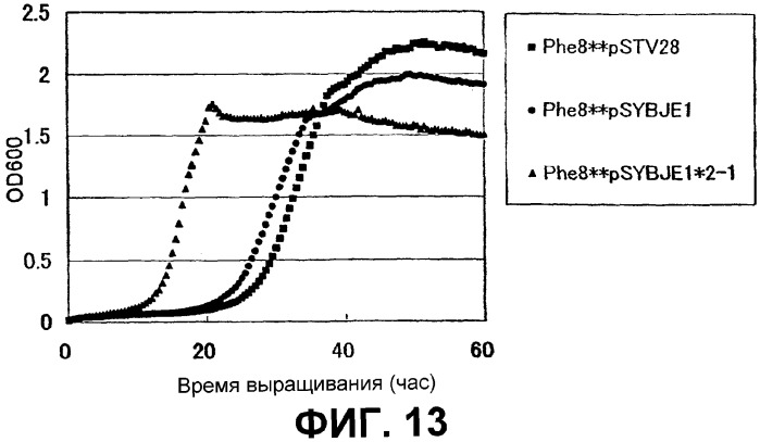 Бактерия - продуцент l-аминокислоты и способ получения l-аминокислоты (варианты) (патент 2316588)