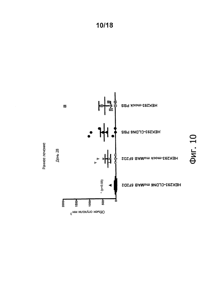 Лечение рака при помощи направленных на мишень антител in vivo (патент 2642305)