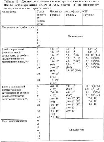 Штаммы бактерий bacillus subtilis и bacillus amyloliquefaciens, обеспечивающие восстановление микробиоценозов почвы и желудочно-кишечного тракта животных, обладающие бактерицидной, фунгицидной и вирулицидной активностью, и препарат на основе этих штаммов (патент 2482174)