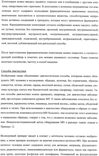 Антитела человека, обладающие активностью связывания c mn и нейтрализации клеточной адгезии (патент 2317998)