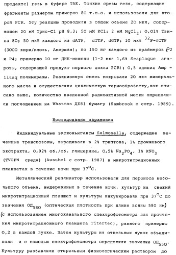 Vgc2 днк salmonella typhimurium, мутантная бактерия, обладающая пониженной способностью к адаптации к условиям окружающей среды, и способ ее получения (патент 2370541)