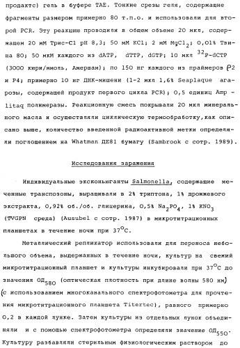 Vgc2 днк salmonella typhimurium, мутантная бактерия, обладающая пониженной способностью к адаптации к условиям окружающей среды, и способ ее получения (патент 2370541)