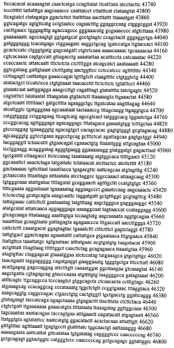 Модуляция экспрессии гентингтина (патент 2562861)
