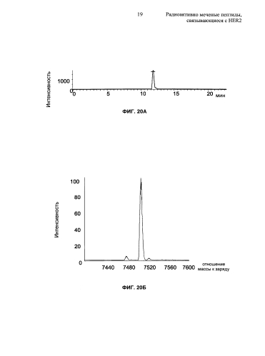 Радиоактивно меченые пептиды, связывающиеся с her2 (патент 2592685)