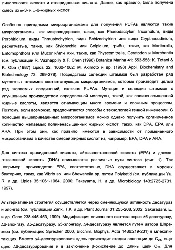 Способ получения полиненасыщенных кислот жирного ряда в трансгенных организмах (патент 2447147)