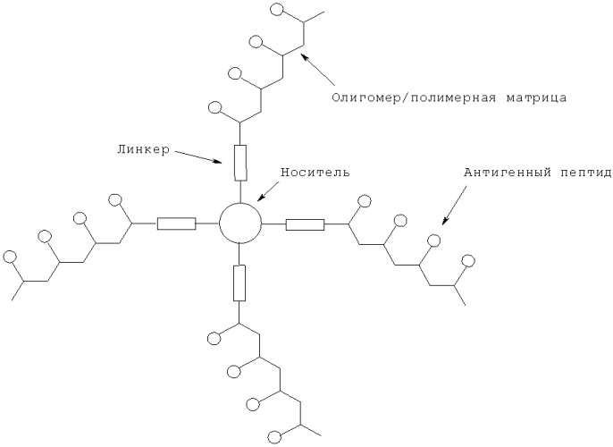 Антигенные tau-пептиды и их применения (патент 2518291)